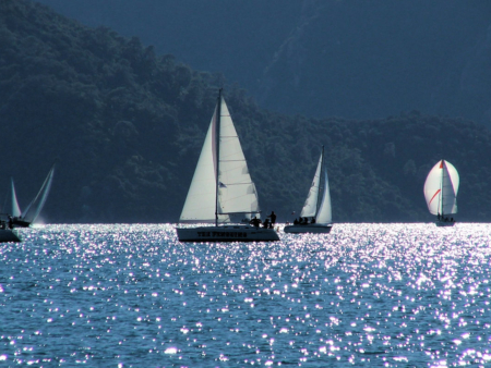 Marmaris Koyuna ait bir manzara